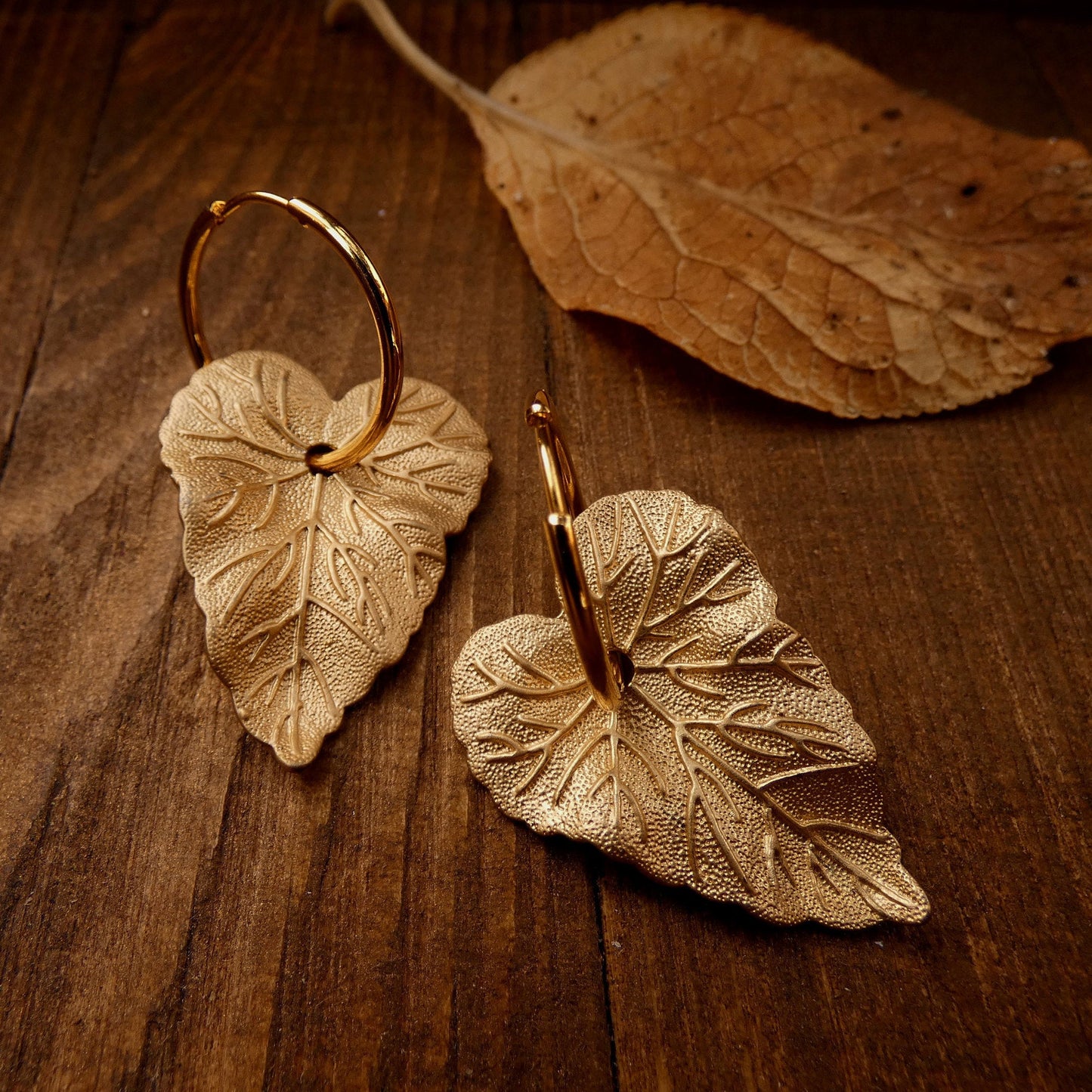 Gold plated Incantus Hederae Leaf Hoops Earrings