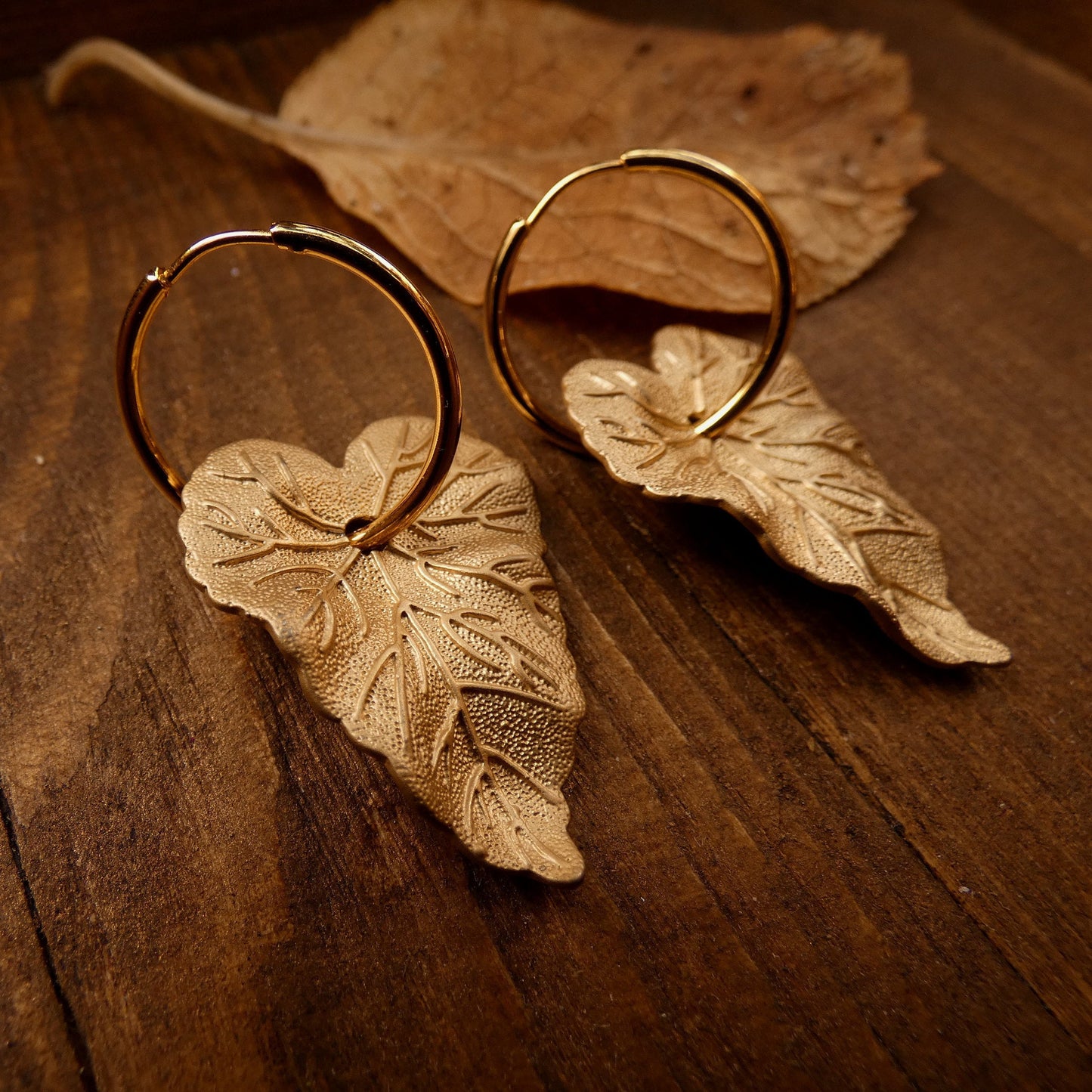 Gold plated Incantus Hederae Leaf Hoops Earrings