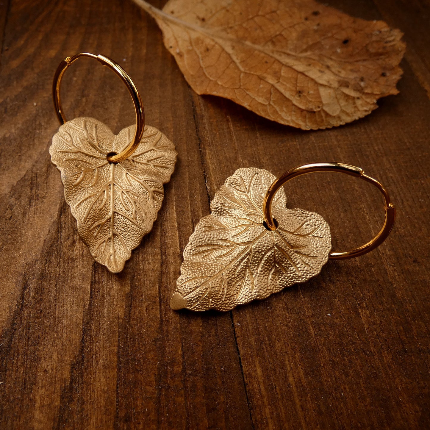 Gold plated Incantus Hederae Leaf Hoops Earrings
